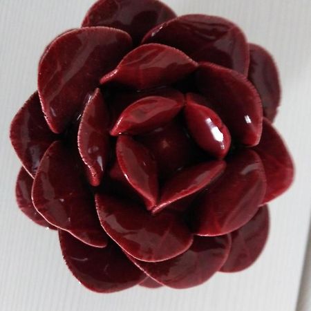 Вілла Rosa'S House Конверсано Екстер'єр фото