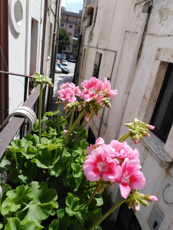 Вілла Rosa'S House Конверсано Екстер'єр фото